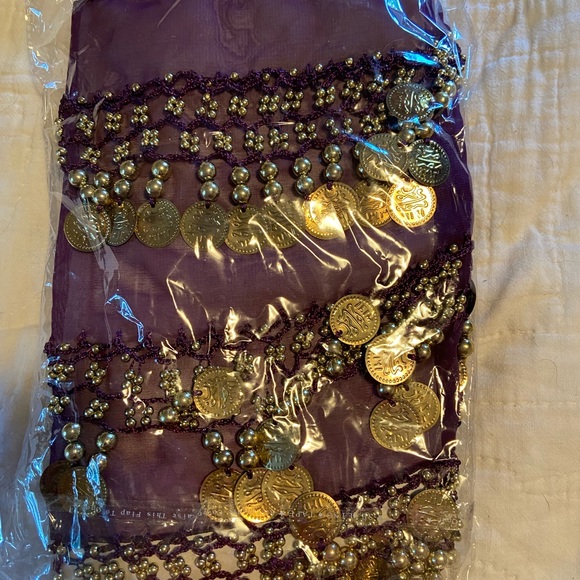 One size coin sash - Picture 2 of 2